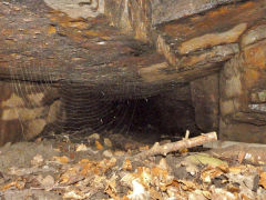 Coedcae level 2nd exit, Gelligroes, August 2011